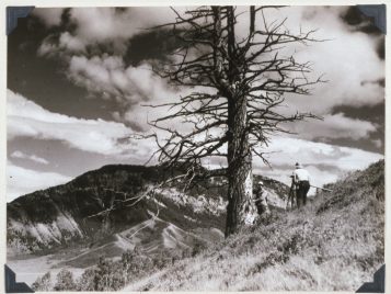 A black-and-white photograph of a person looking through surveying equipment on the side of a hill that overlooks a mountain.